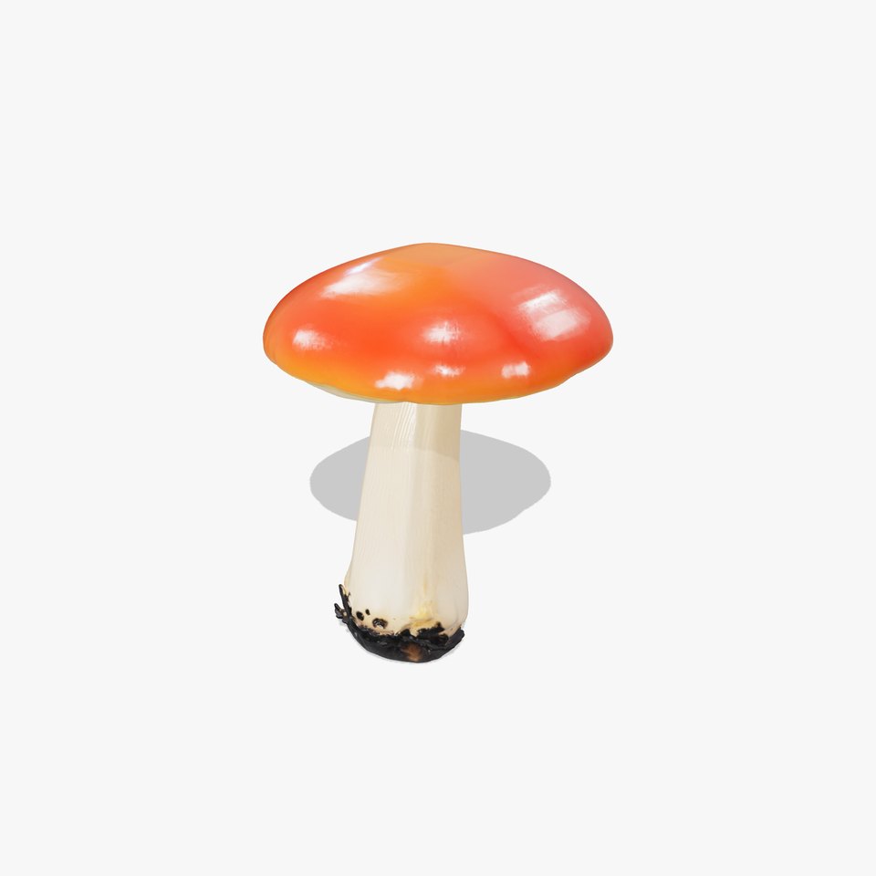 Elegant Slim Red-Cap Mushroom model pack